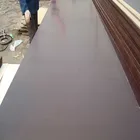 marine plywood,12mm black film faced recycled plywood for shuttering