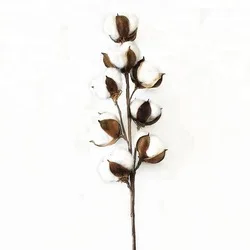 40cm stem wire