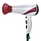 AC Motor High Performance Salon Standing Hair Dryer