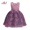 Fashion Baby Girl Party Dresses Embroidered Princess Full Dress For One Piece Wholesales