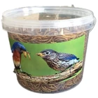 6x 300g High Energy Suet Fat Blocks Cake Gourmet Mealworms Feed Wild Bird Food