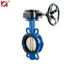 Superior quality Ductile Iron 450 Soft backrest Worm Gear Butterfly Valve