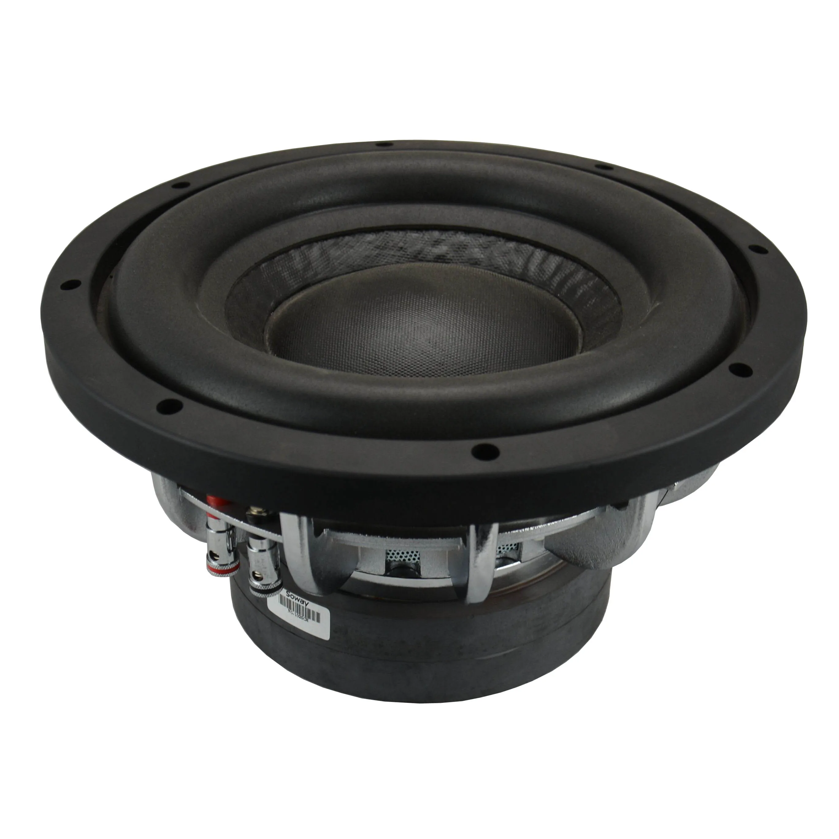 SOWAY best quality 10inch 1500W paper cone NG-1025CH subwoofer/double magnet subwoofer