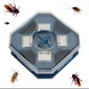 Large Cockroach control / Cockroach CATCH / cockroach trap and ant bait