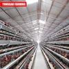 Latest models chicken cage for poultry breeding equipment