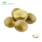 NSF-cGMP Luo Han Guo Extract Powder Monk Fruit Juice Proveedores