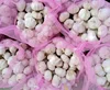 /product-detail/2019-aaa-fresh-normal-white-garlic-alho-ail-ajo-jinxiang-jining-60631116991.html