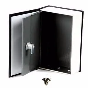 dictionary safe box.jpg