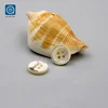 Wholesale Custom Made Clothing Sewing Shell Buttons For Garments