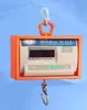 NMSW Crane Scale/Hanging Scale