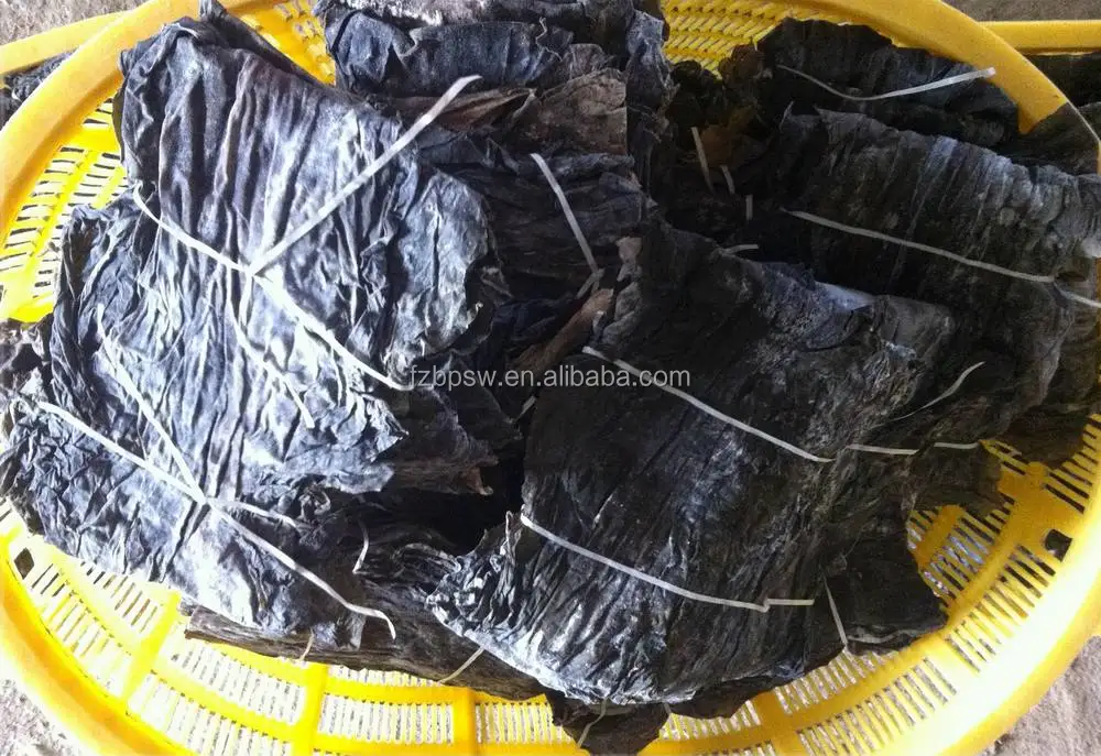 sea kelp raw material .JPG