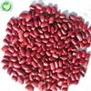 Export import price per ton small frozen red kidney beans for sale