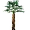 /product-detail/ls16071615-factory-high-quality-imitated-landscape-garden-decorative-outdoor-artificial-palm-tree-60498365384.html