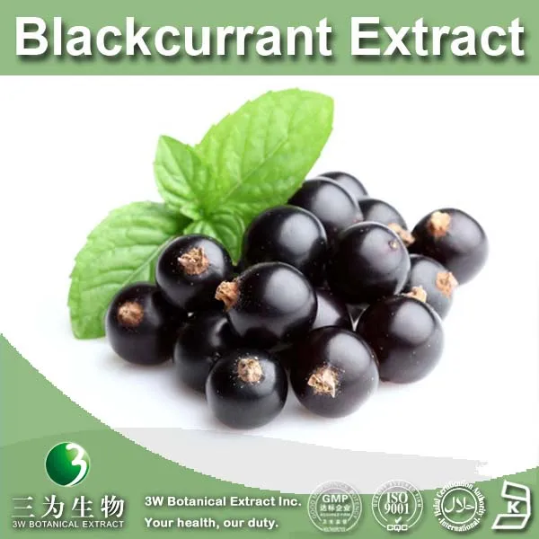 blackcurrant juice extract