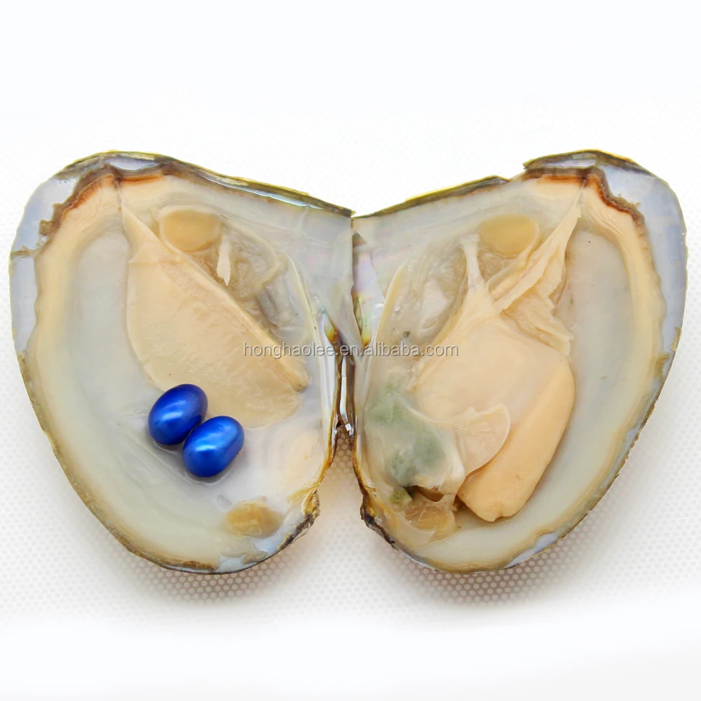Natural Freshwater Pearl Oyster, AAA Ellipse 6-8mm Womens Premium Jewelry Accessories Pearl Color #9 , Rich Choice of Colors
Natural Freshwater Pearl Oyster, AAA Ellipse 6-8mm Womens Premium Jewelry Accessories Pearl Color #9 , Rich Choice of Colors