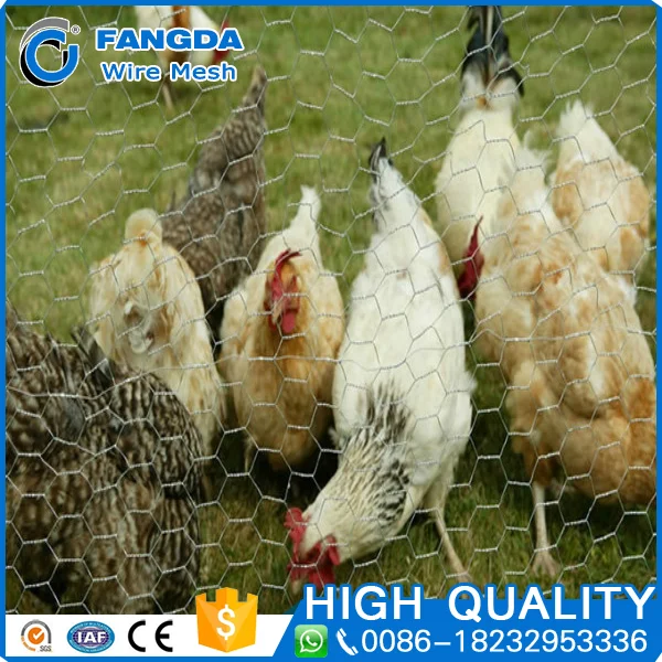 Multifunctional pvc coated bird animal cages hexagonal mesh wire factory