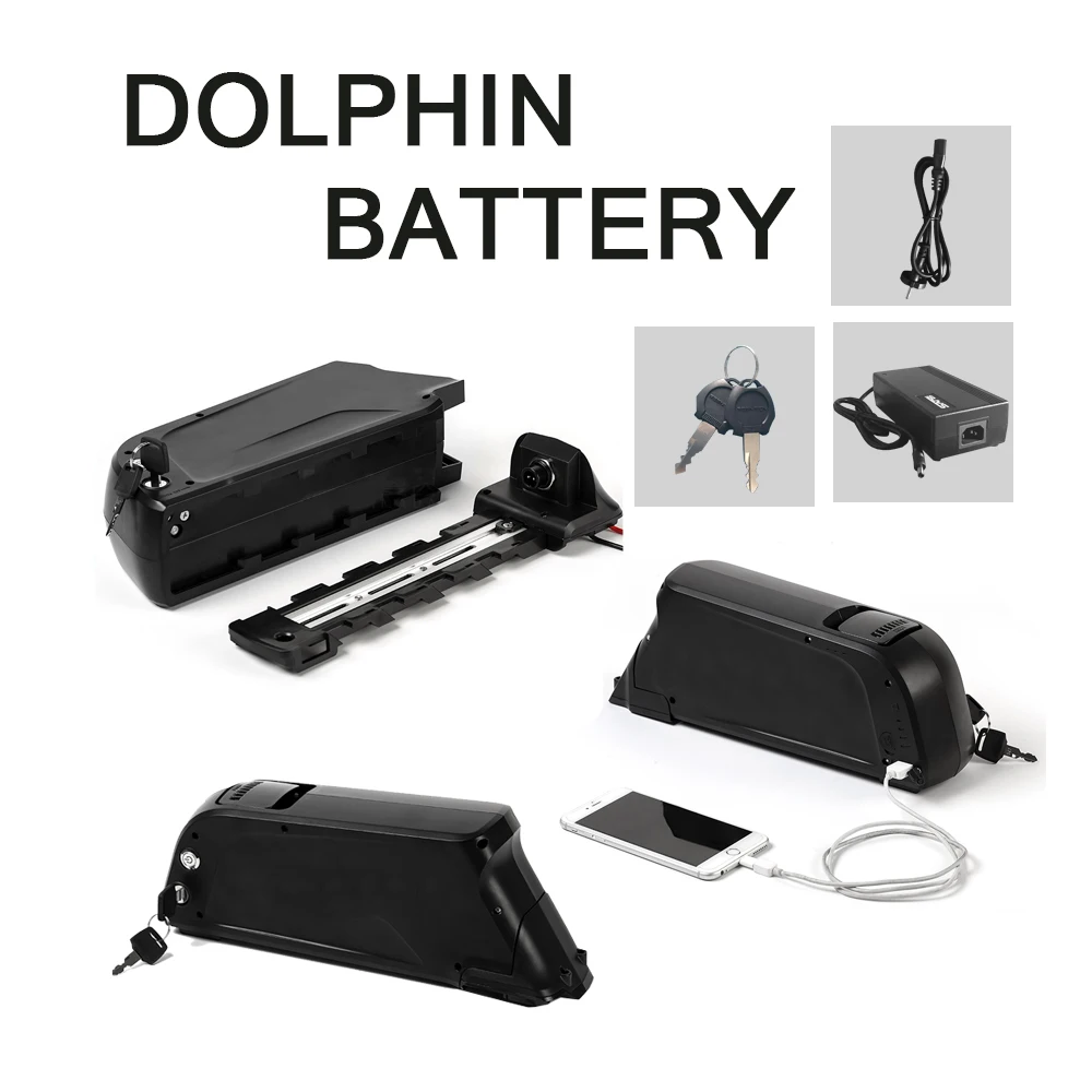 dophin batery.jpg