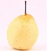 ya pear chinese fresh pear fruit