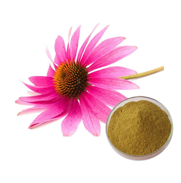 Echinacea extract 2.jpg