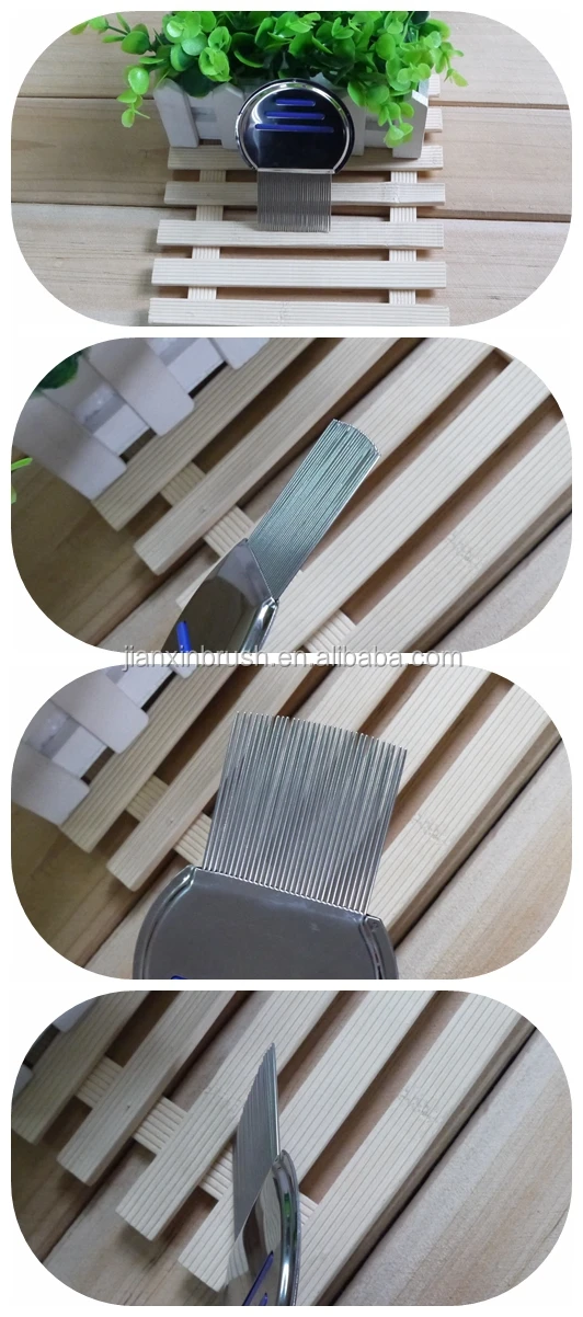 lice comb.jpg