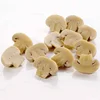 /product-detail/400-200g-natural-sliced-canned-mushroom-60812505589.html