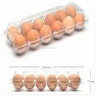 Transparent blister process plastic egg tray cartons with 12 holes