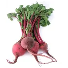 New product 2018 high quality best service beetroot juice vs beet root extract