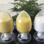 Polyalumina Chloride White PAC Water Treatment Chemicals