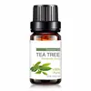High quality Pure organic & natural tea tree essential oil for skin care