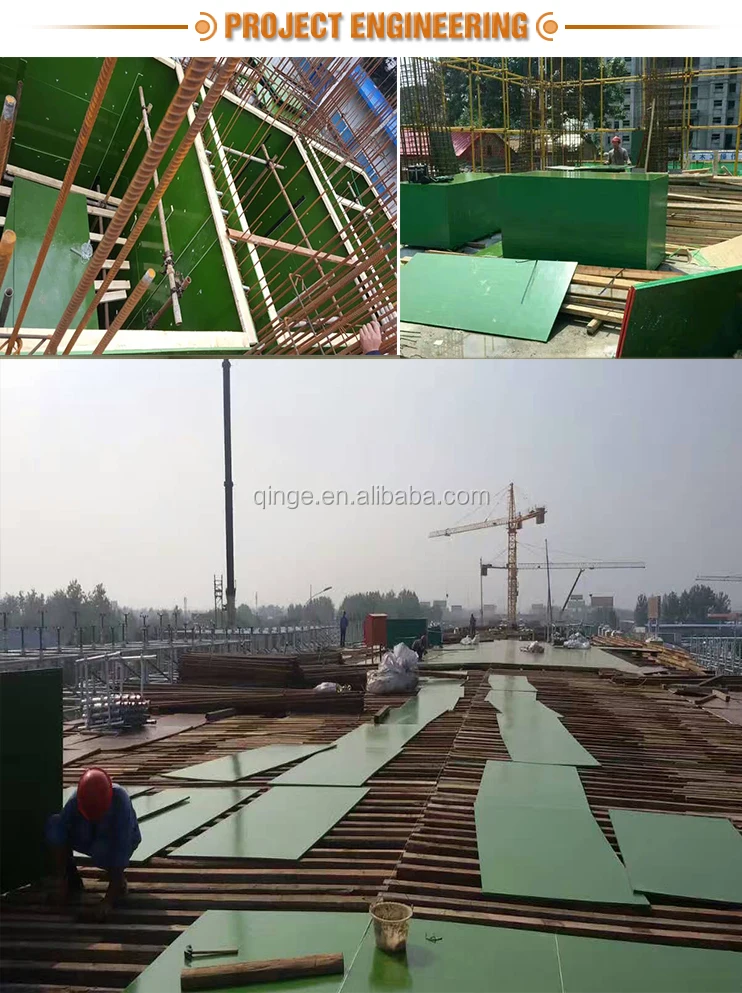 Green PP Plastic film faced plywood 12mm 15mm 18mm