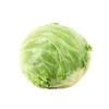 /product-detail/touchhealthy-supply-loosen-leaves-lettuce-seeds-for-sowing-60089523981.html
