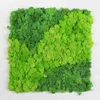 Custom design multi-colors natural artificial moss green grass wall for shopping mall