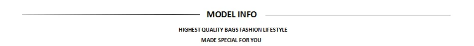 model info