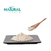 White Rice Protein Isolate Food Grade Rice Protein Bulk Powder