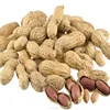 /product-detail/peanut-importers-60272928129.html
