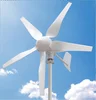 High Quality Multipurpose 600W 1000W 3000W Vertical Wind Turbine Generator Price