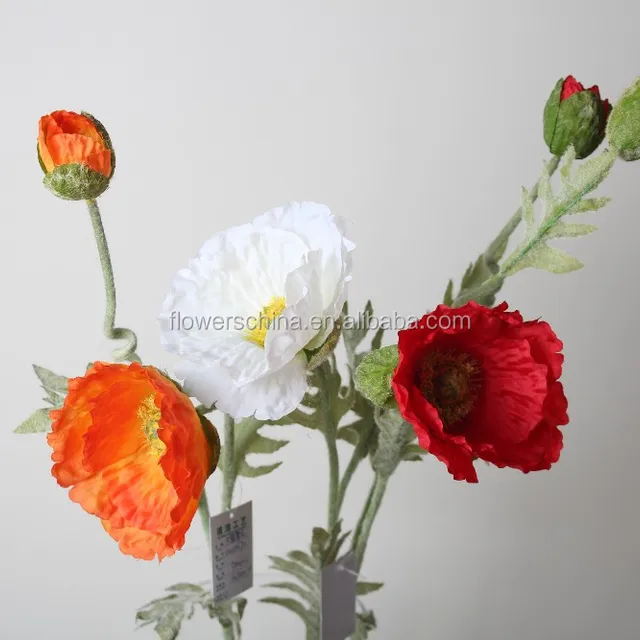 poppy decorative flower