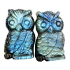 /product-detail/wholesale-natural-labradorite-crystal-owl-statue-jade-carving-gemstone-animal-carvings-craft-60767609087.html