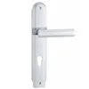 Stainless Steel french door handles and locks