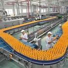 Small Machine Small Business Juce Making Machine/production Line/packing Machine