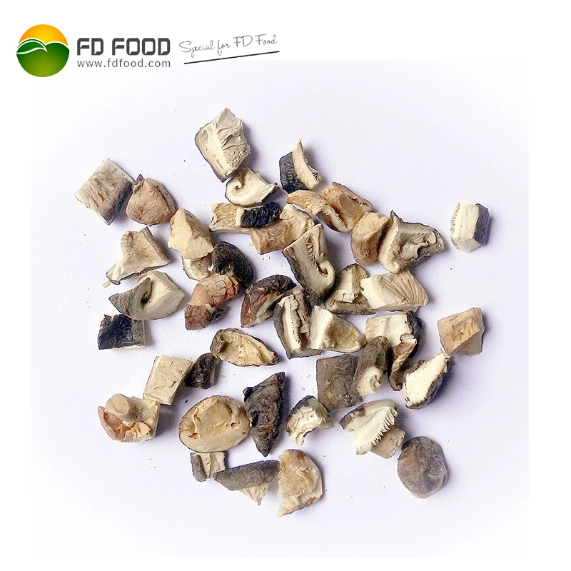 Wholesale Freeze Dried Vegetables Freeze Dried Shiitake Mushrooms