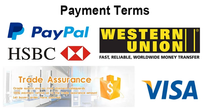 paypment 01