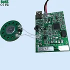 USB Push Button Chip Programmable Sound Module For Greeting Card And Sound Box