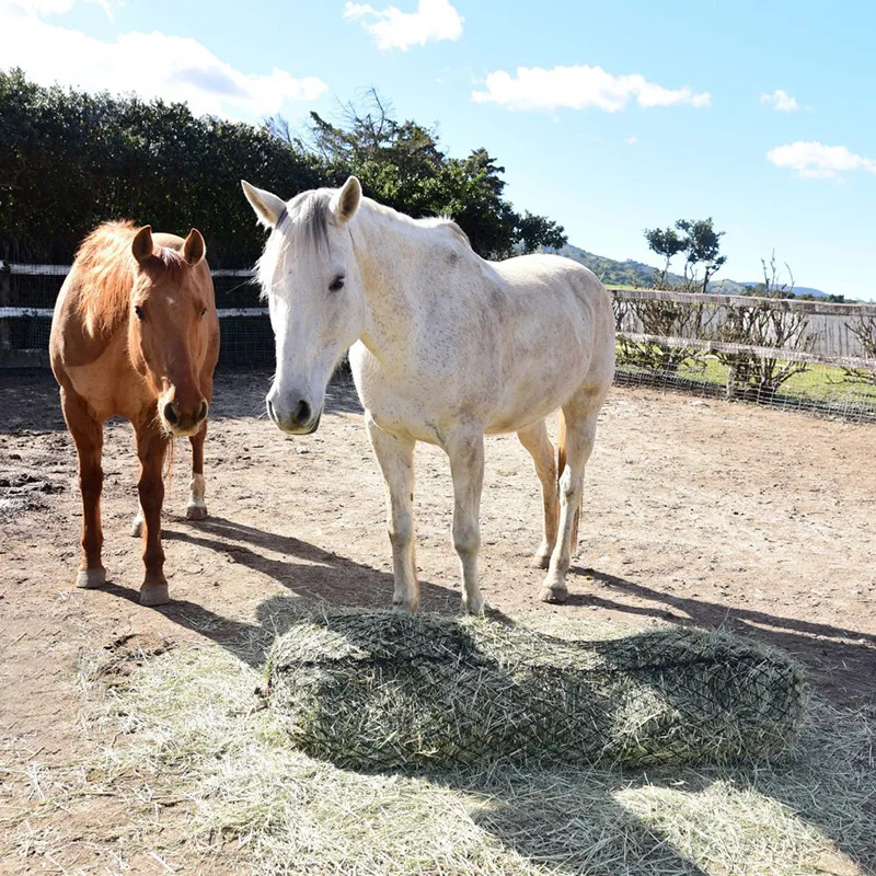 China Factory Round Slow Hay Bale Horse Hay Net On The Ground