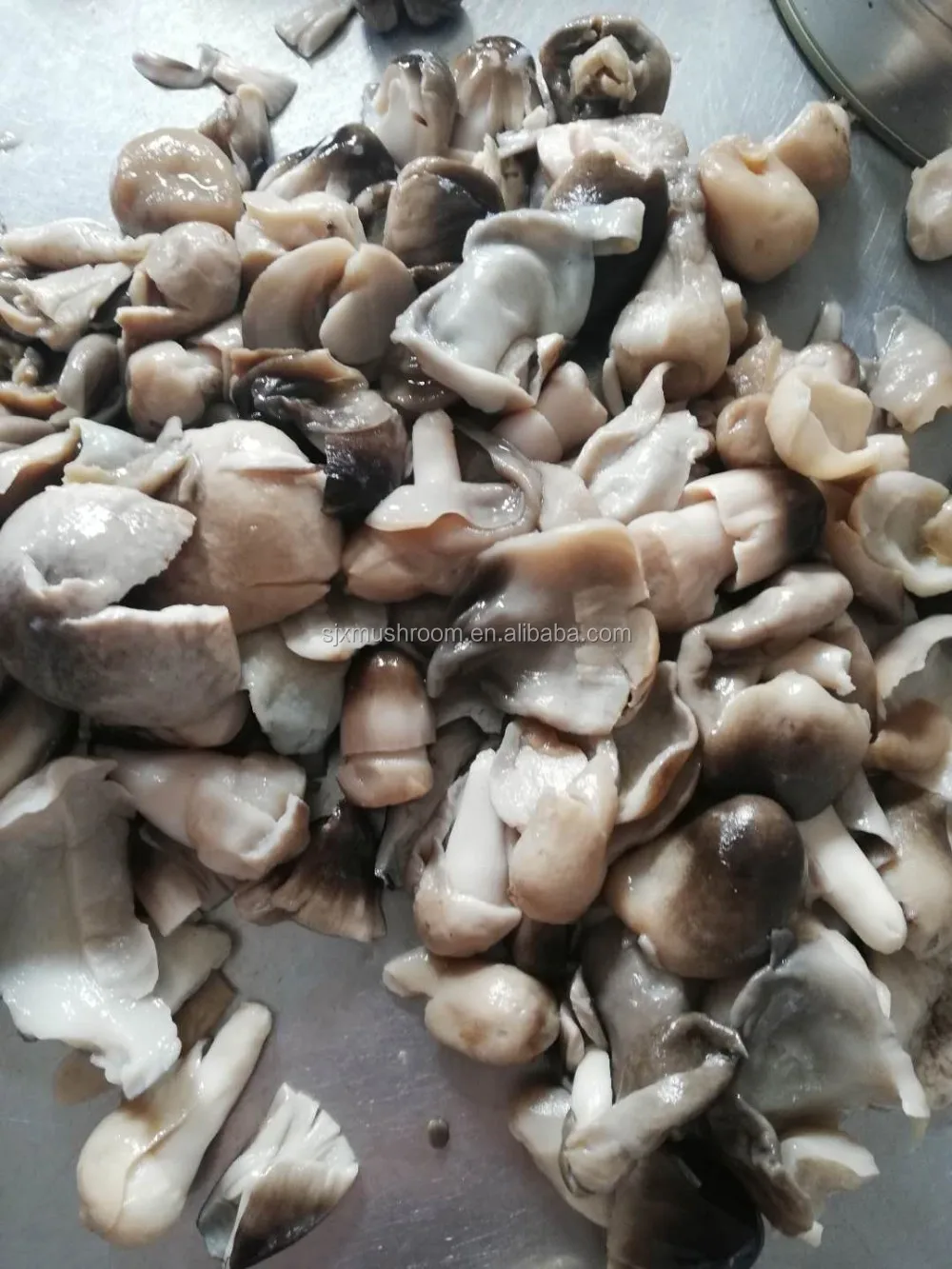 canned straw mushroom skin