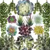 Artificial Succulent Plants - 15 Pack - Premium Unpotted Face Succulent Plants - Realistic Textured Succulents