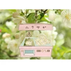 clear blank custom printing glitter acrylic keychain keyring maker