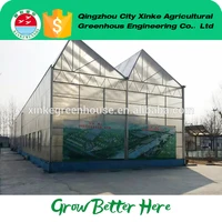 Economic And Efficient Agriculture Used Solar