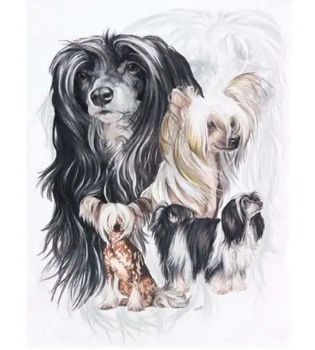 Full drill 5D DIY Diamond Painting"Pet dog" Animal Embroidery Cross Stitch Rhinestone Mosaic Painting gift
Full drill 5D DIY Diamond Painting"Pet dog" Animal Embroidery Cross Stitch Rhinestone Mosaic Painting gift