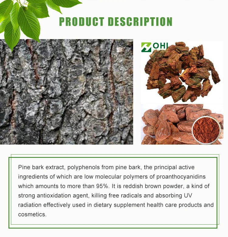 French Marine Pine Bark Extract, View pine bark extract, OHI Product